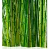 Paravent Bamboo Forest II [Room Dividers] In Grün