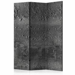 Paravent Grey Storm [Room Dividers] In Grau