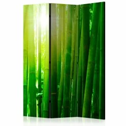 Paravent Sun And Bamboo [Room Dividers] In Gelb,Grün