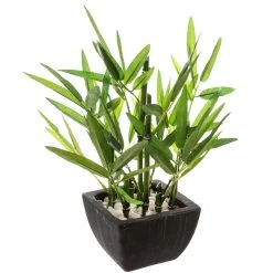 Künstliche Dekopflanze In Grün