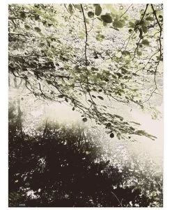 Duschvorhang "Tiergarten 5" In Braun & Gelb