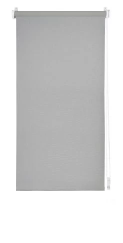 Seitenzugrollo Trend In Grau