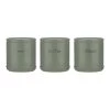 ACCENTS Vorratsdosen, 3er Set, Salbeigrün, 750 Ml