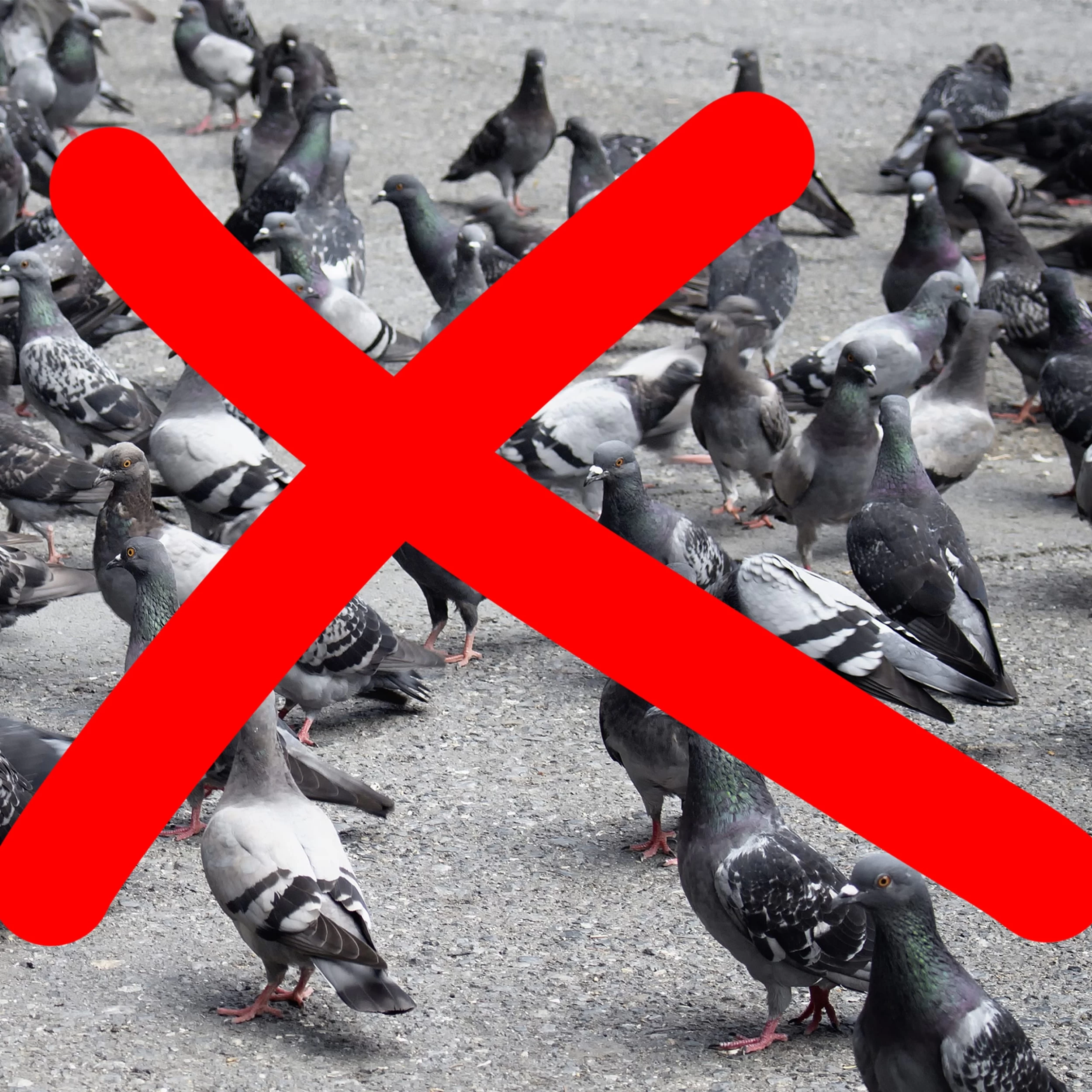 12er-Set: Vogelabwehrspirale In Silber – Bild 2