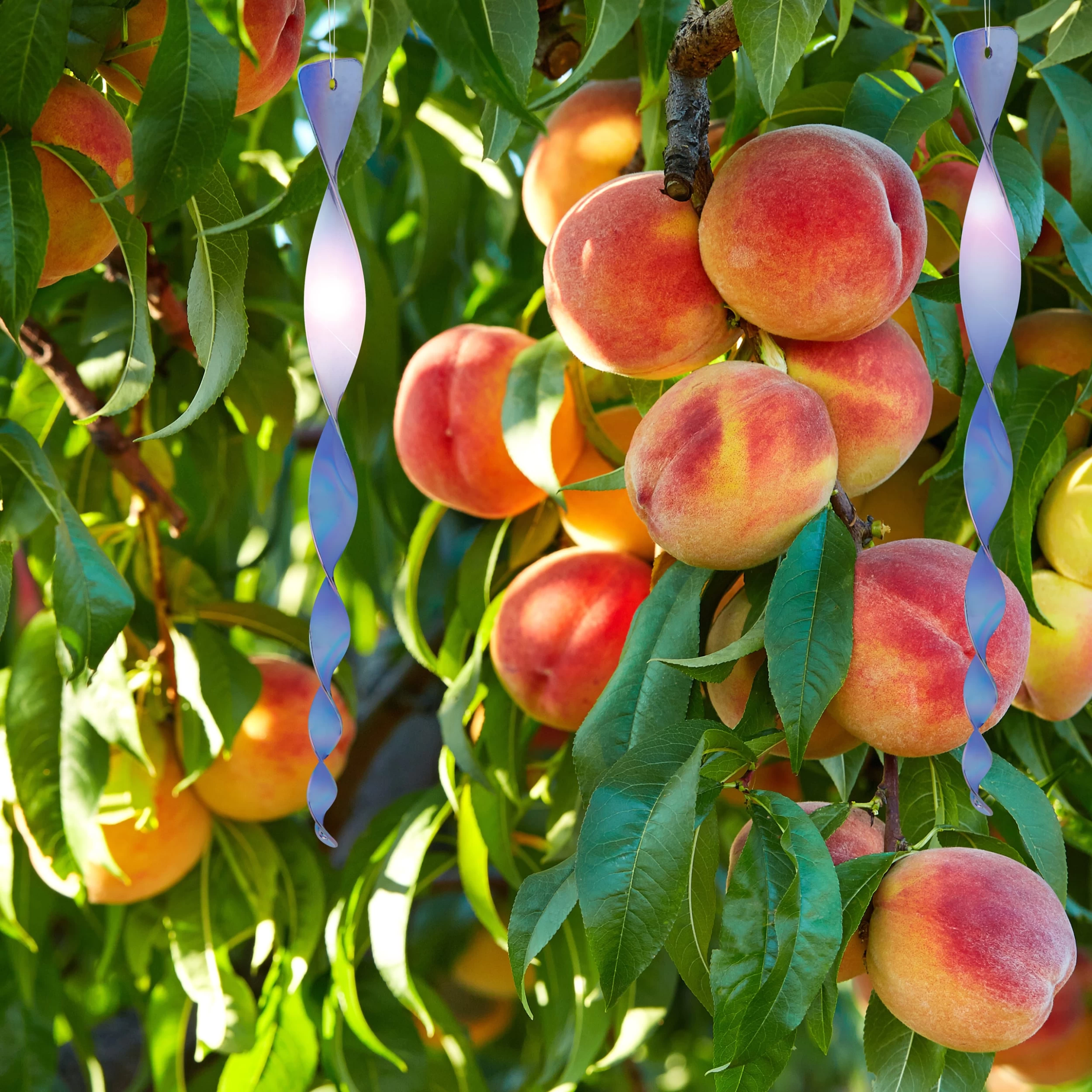 12er-Set: Vogelabwehrspirale In Silber – Bild 5