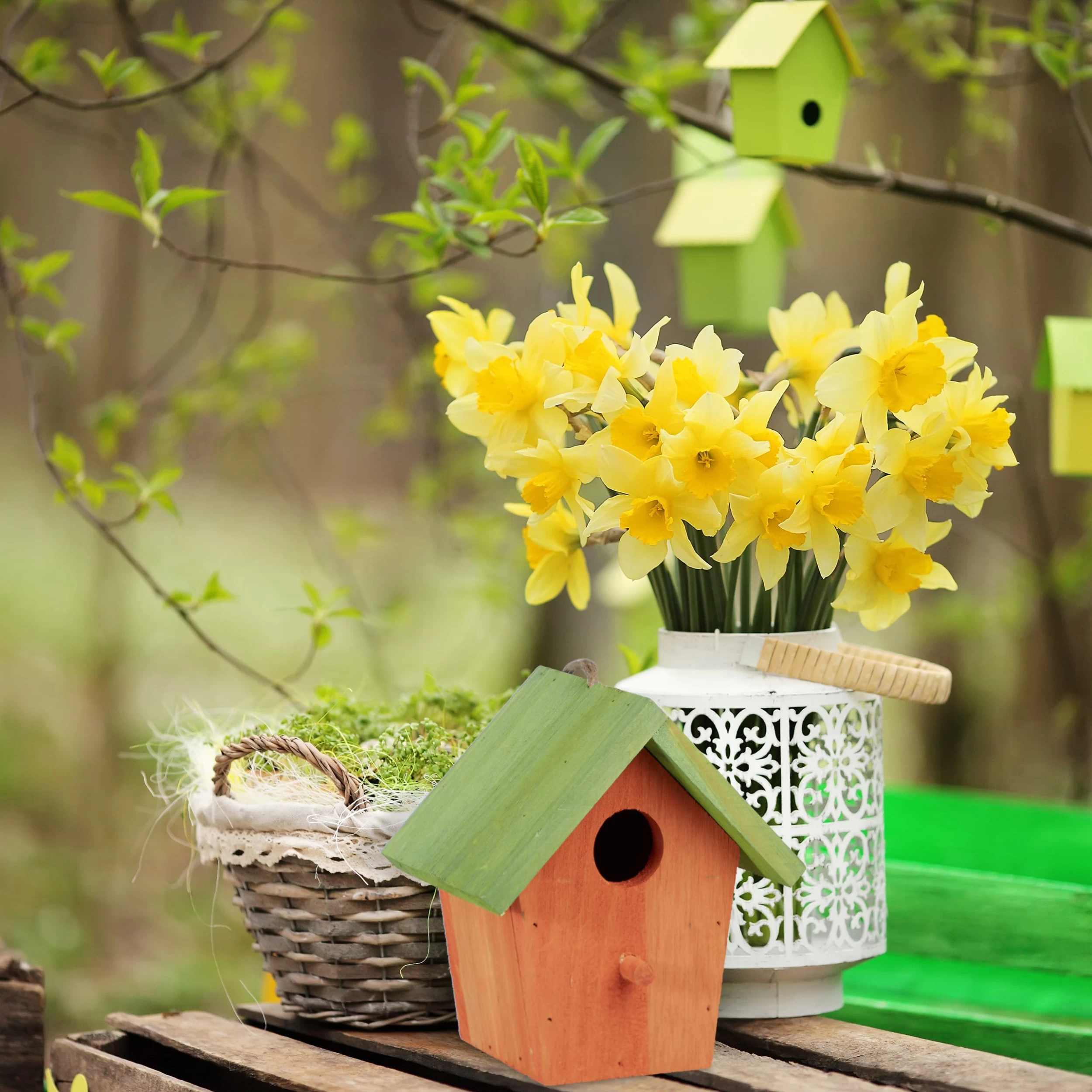 Deko Vogelhaus In Orange - B)15 X (H)16 X (T)11 Cm – Bild 2