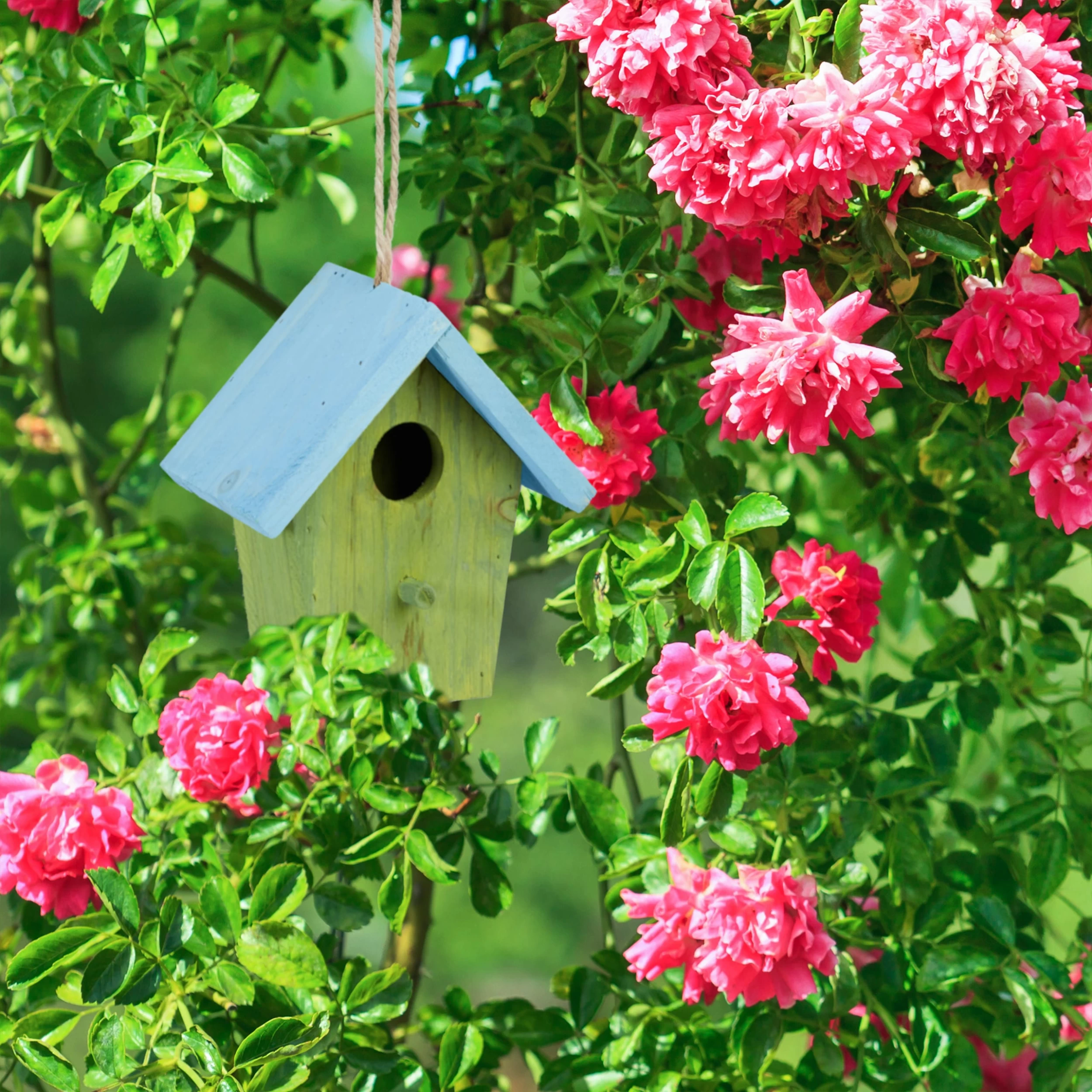 Deko Vogelhaus In Orange - B)15 X (H)16 X (T)11 Cm – Bild 3