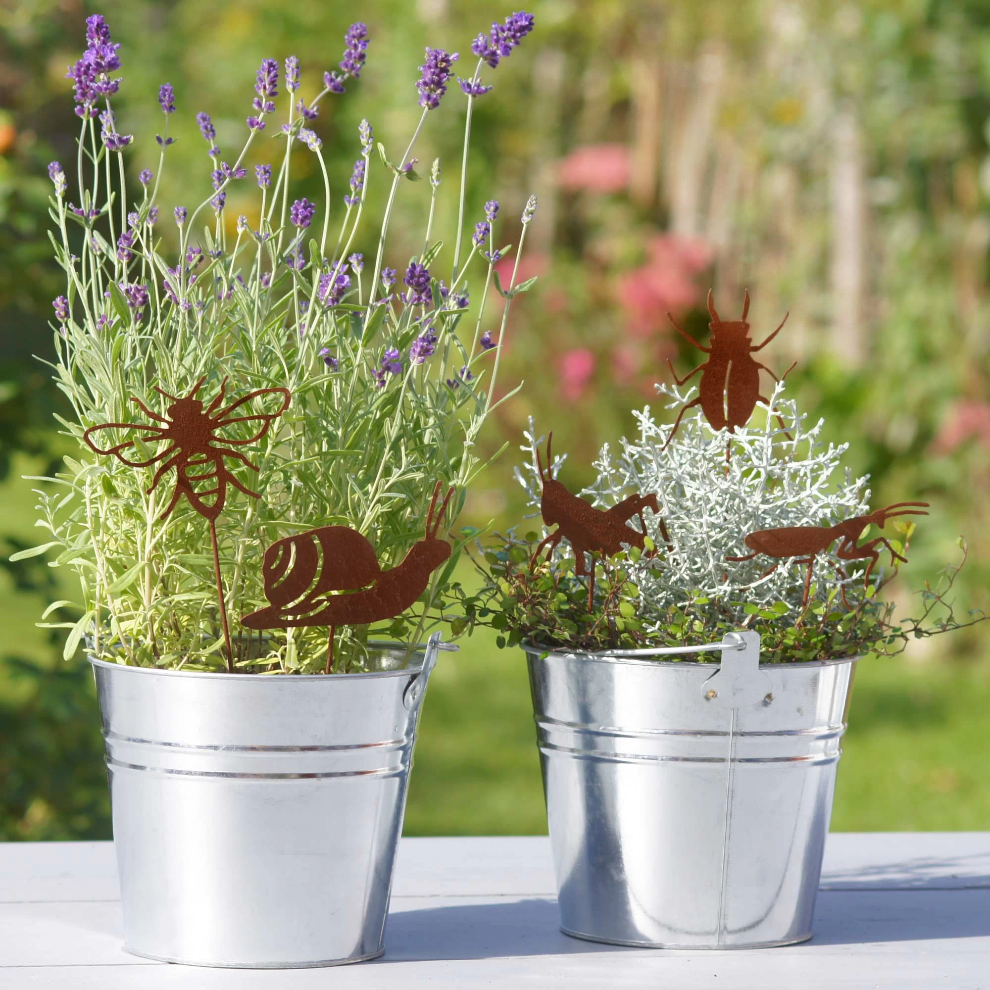 5er Set Gartenstecker Rost Insekten In Braun – Bild 7