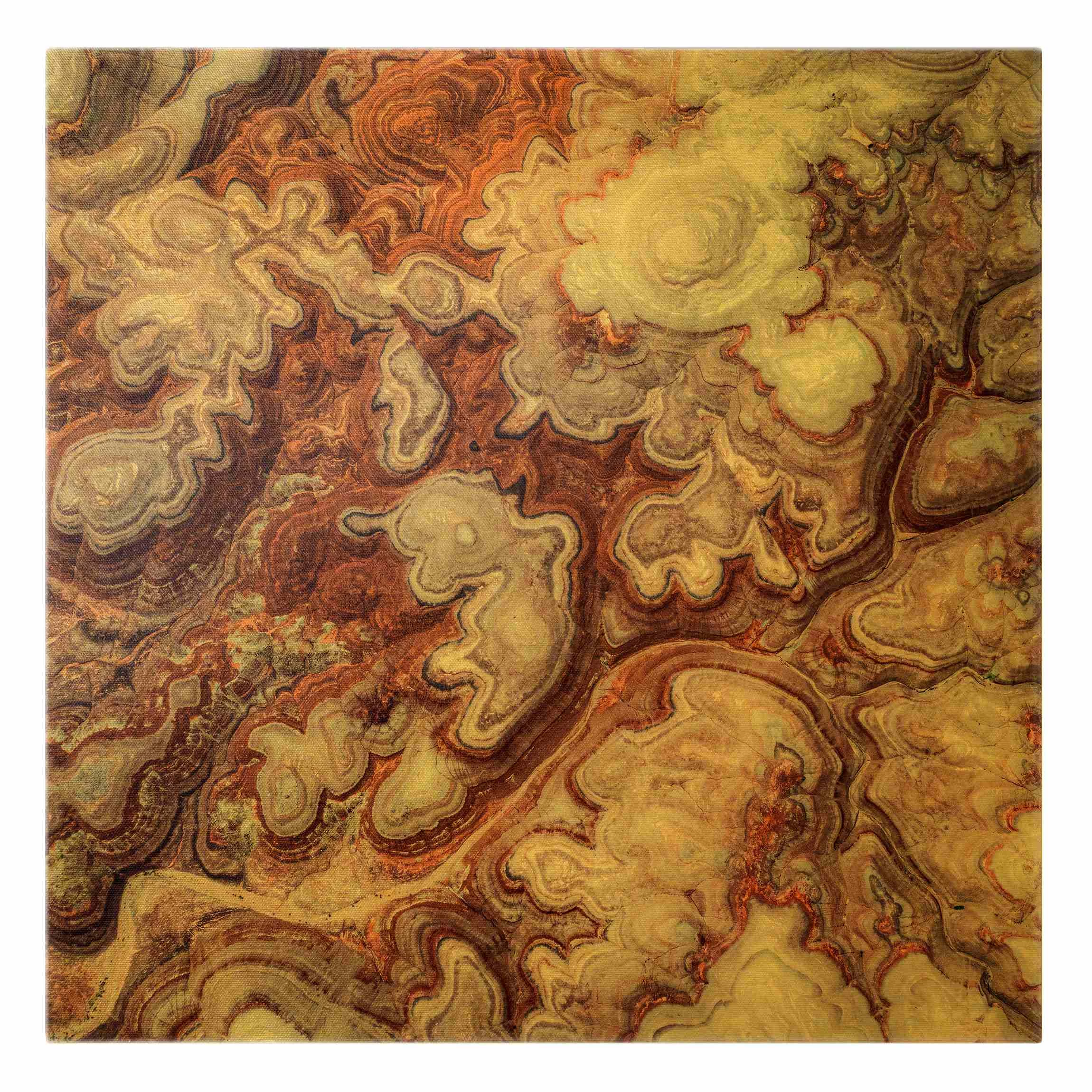 Leinwandbild Gold - Farbenpracht Von Utah In Braun