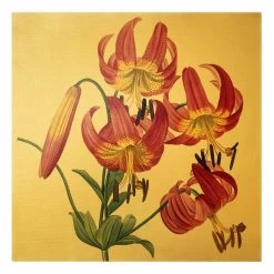 Leinwandbild Gold - Pierre Joseph Redouté - Türkenbundlilie In Pink