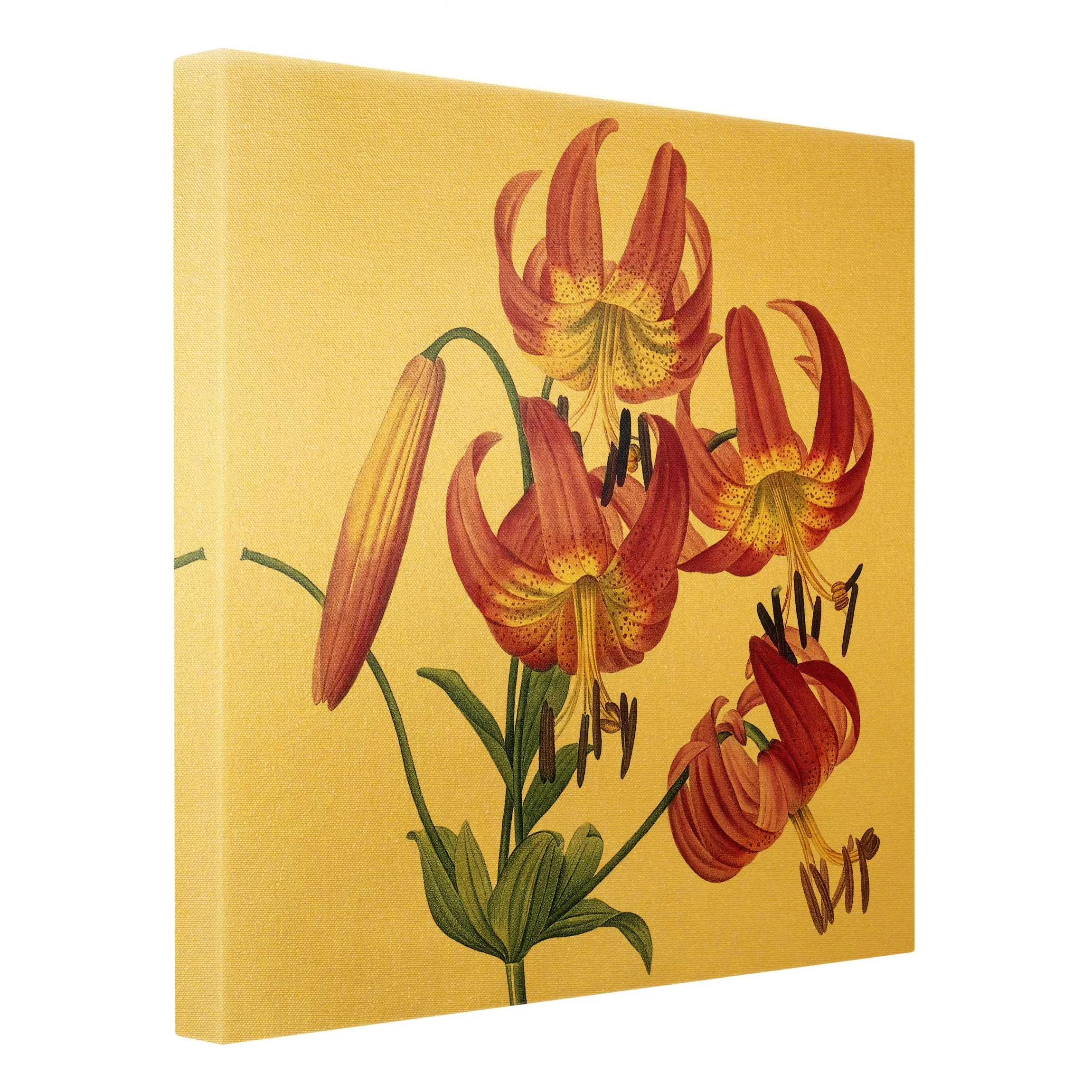 Leinwandbild Gold - Pierre Joseph Redouté - Türkenbundlilie In Pink – Bild 6