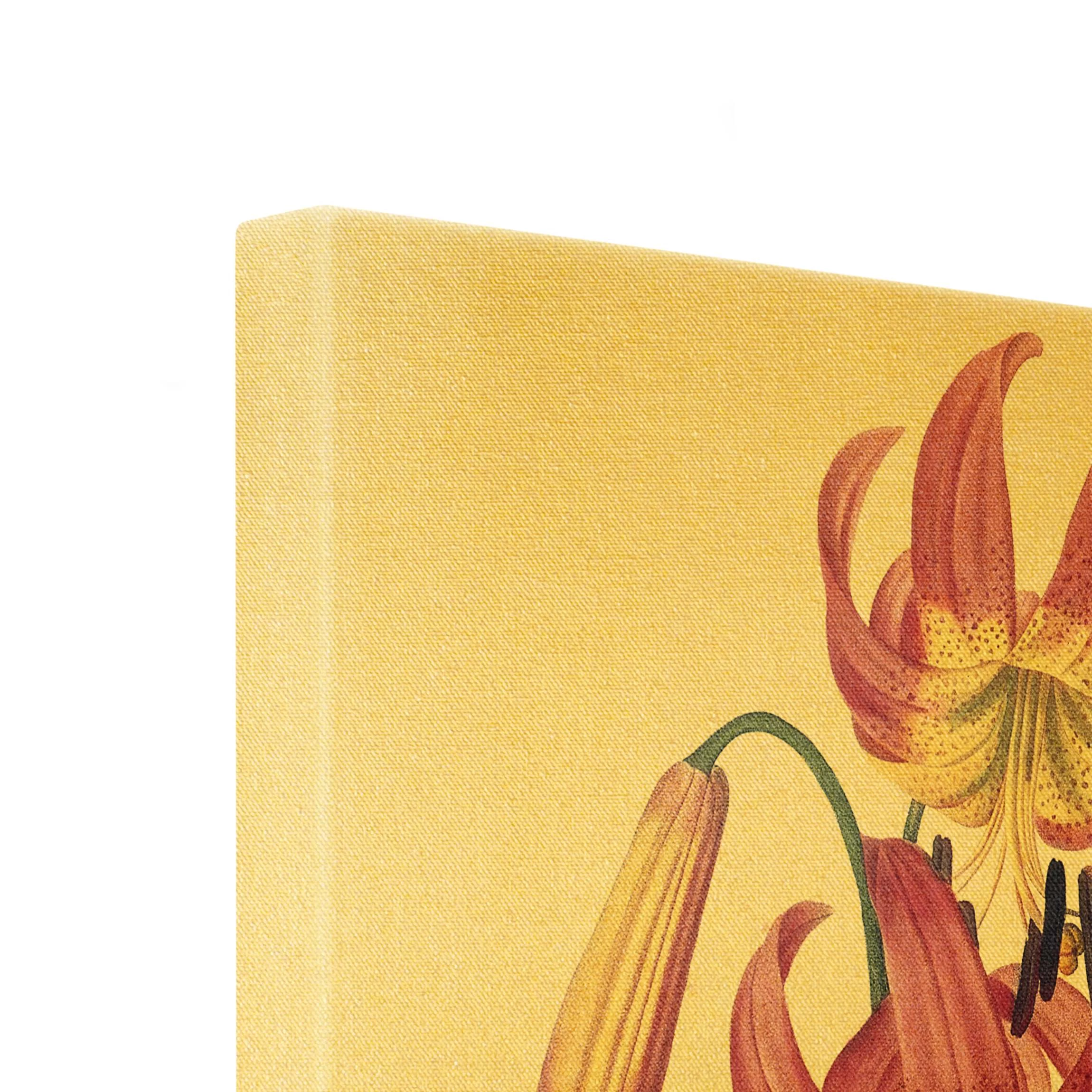 Leinwandbild Gold - Pierre Joseph Redouté - Türkenbundlilie In Pink – Bild 7