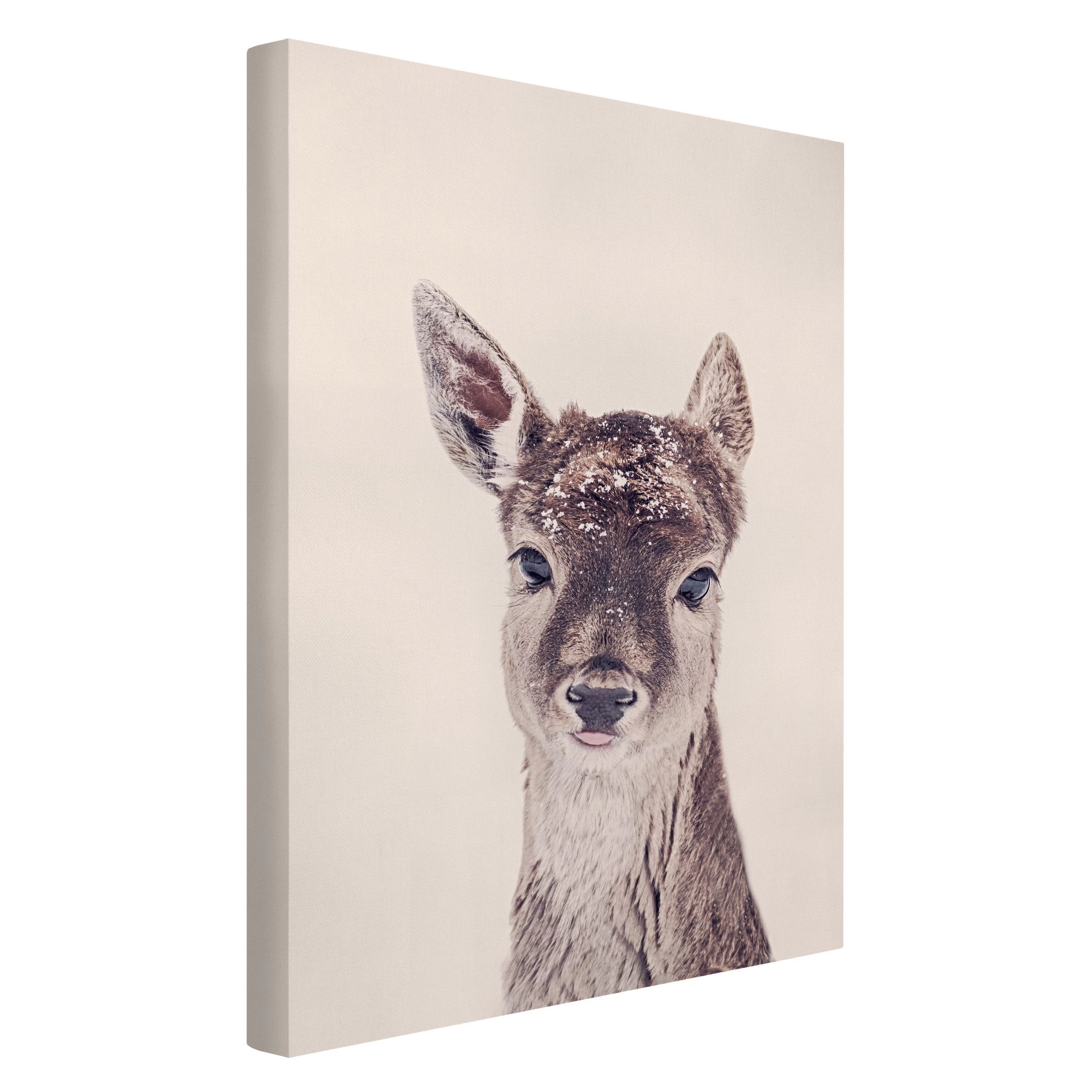 Leinwandbild - Reh Kitz Portrait In Braun – Bild 5