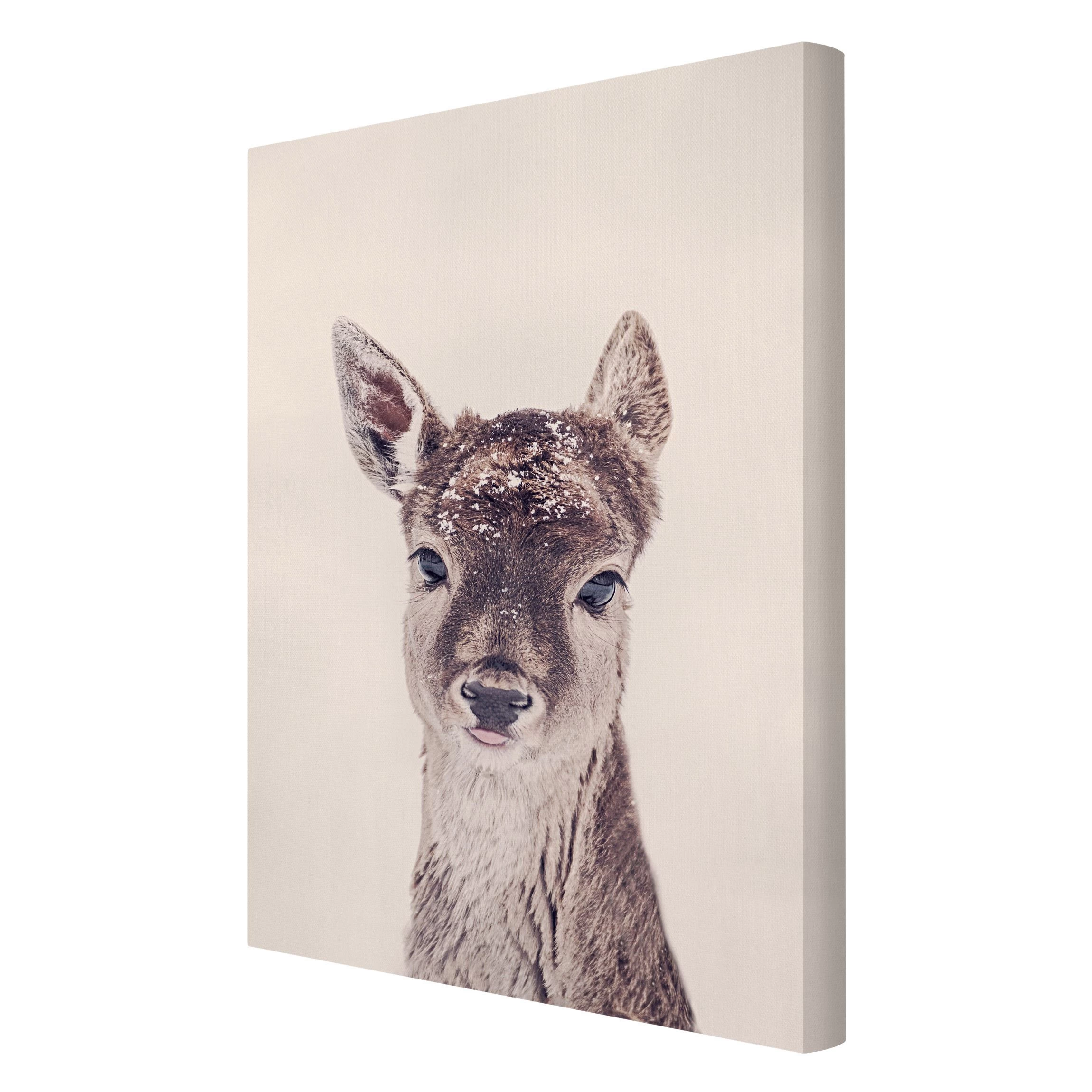 Leinwandbild - Reh Kitz Portrait In Braun – Bild 6