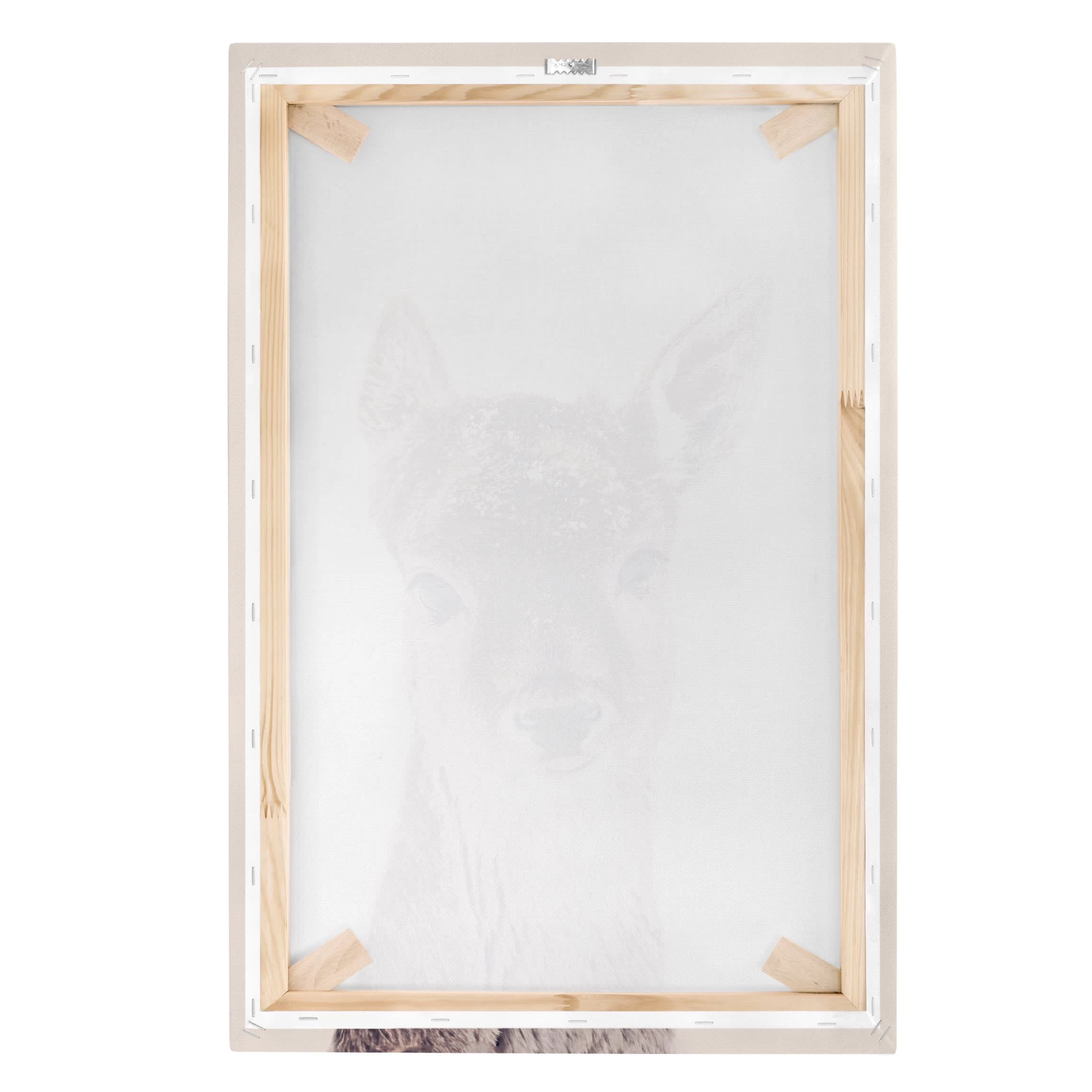 Leinwandbild - Reh Kitz Portrait In Braun – Bild 7