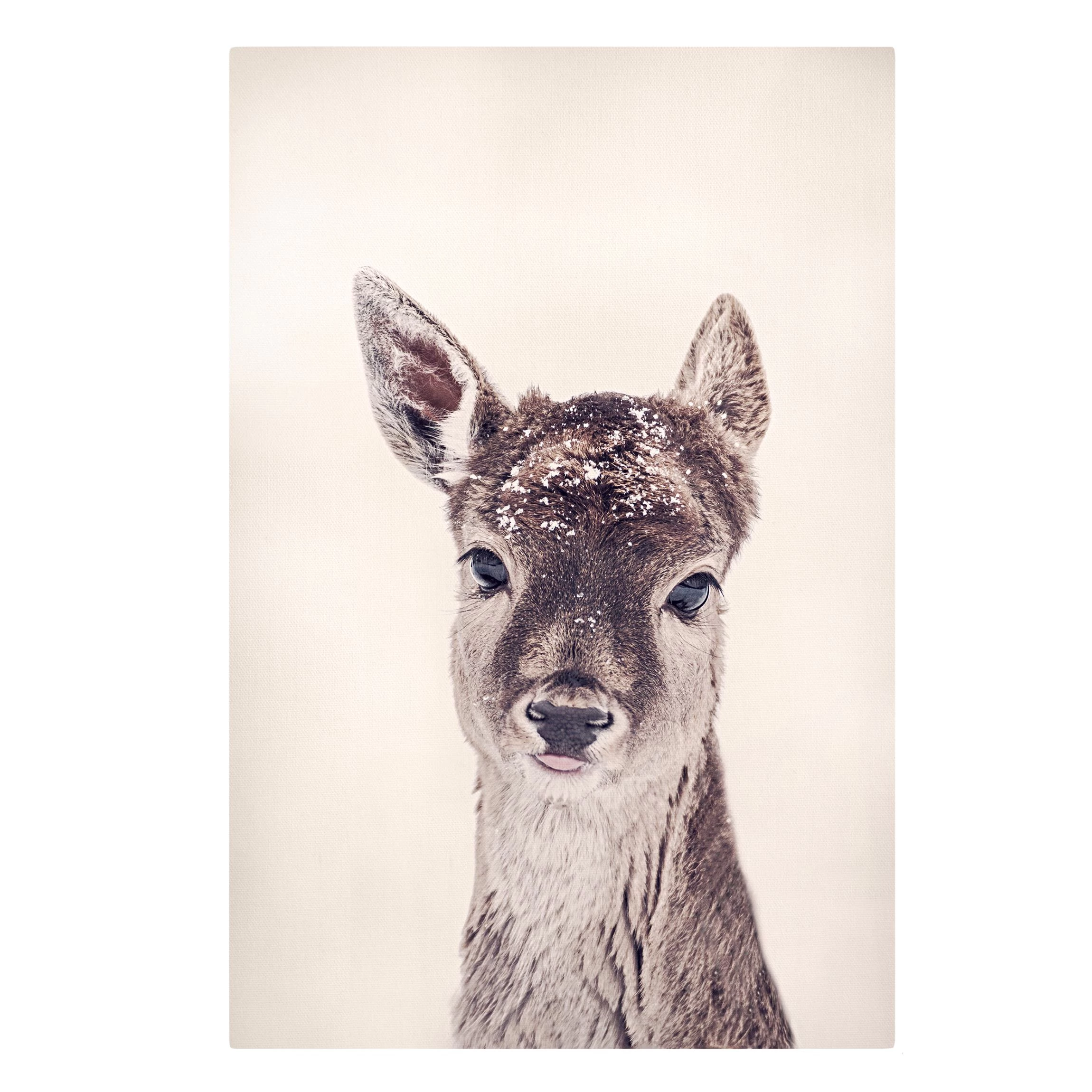 Leinwandbild - Reh Kitz Portrait In Braun