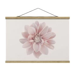 Stoffbild - Dahlie Blume Pastell Weiß Rosa In Creme-Beige