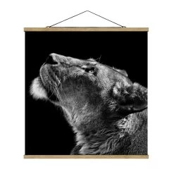 Stoffbild Mit Posterleisten - Portrait Einer Löwin In Schwarz-Weiß