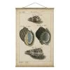 Stoffbild - Vintage Muschel Zeichnung Braun In Creme-Beige